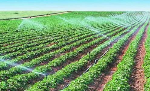 非洲老骚逼农田高 效节水灌溉